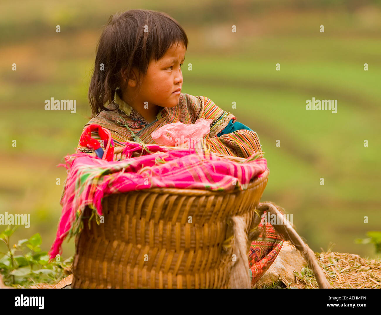 Young vietnamese girls