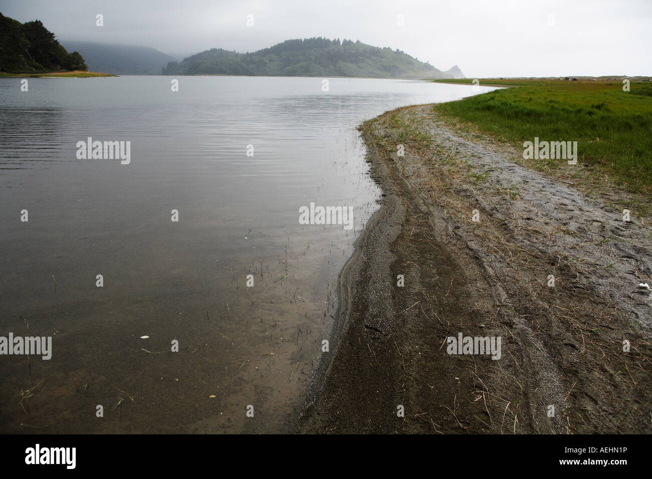 Lake Shore in Redwoods National and State Parks, Northern California USA Stock Photo