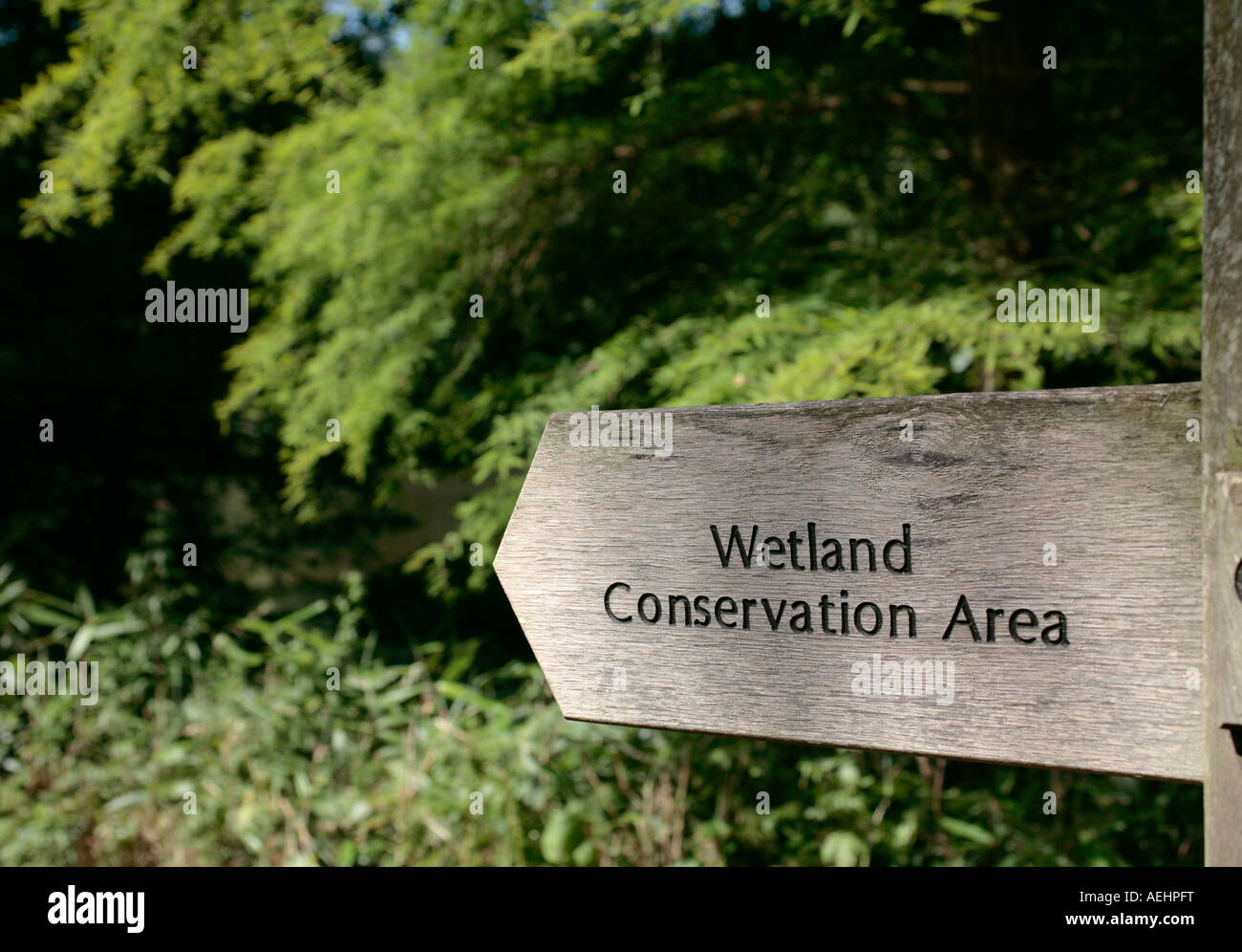 Wooden finger post sign indicating Wetland Conservation Area, Sussex, England, UK Stock Photo