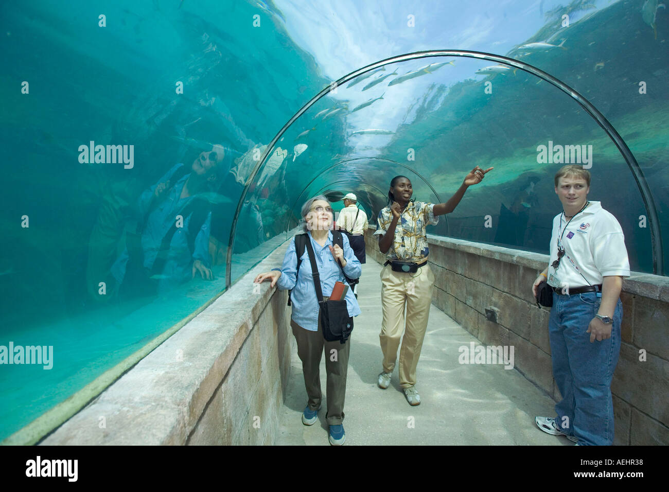 Bahamas Paradise Island People Passing By Tunnel Underwater At Atlantis