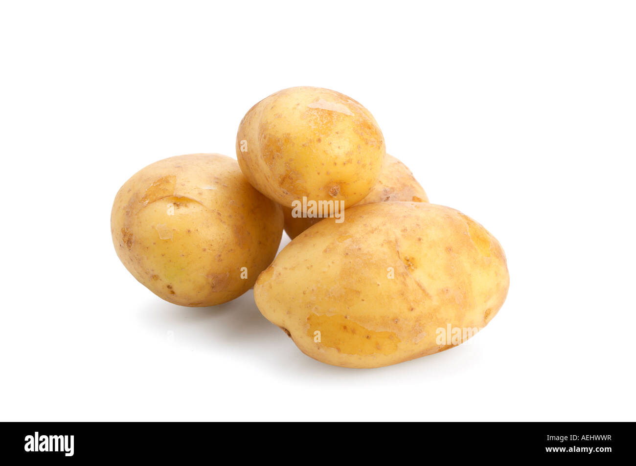 New potatoes variety Nicola Stock Photo