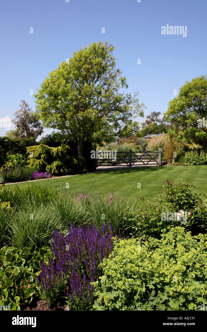 ENGLISH COUNTRY GARDEN IN SUMMER. RHS HYDE HALL ESSEX UK Stock Photo ...