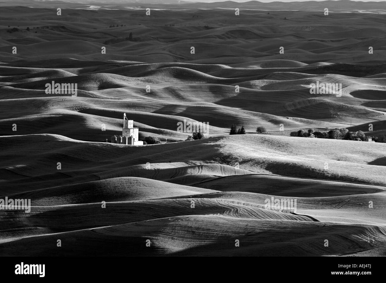 Farmland in spring with grain silo The Palouse Washington Stock Photo