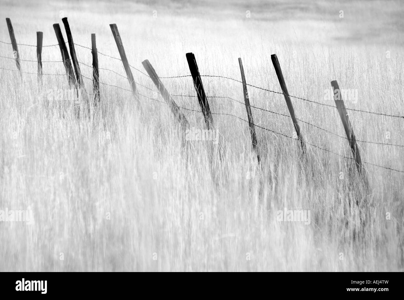 Fence line in pasture Near Halfway Oregon Stock Photo