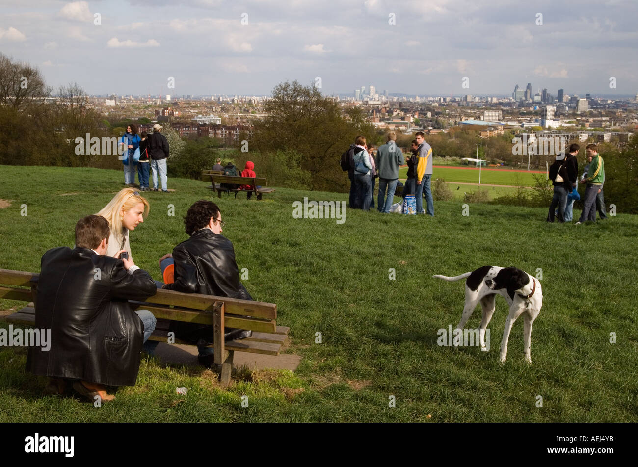 A view across the London skyline city scape from Hampstead  Heath London NW3 England Canary  Wharf and the  City of Lon Stock Photo