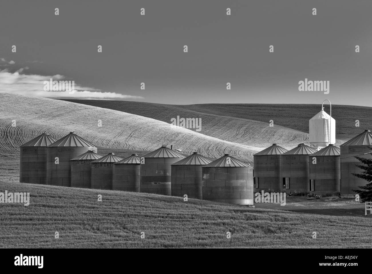 Grain silos and wheat field the Palouse Washington Stock Photo