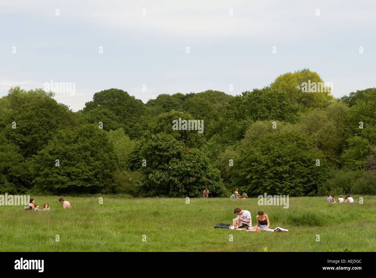 Hampstead Heath. Hampstead village London NW3 England HOMER SYKES Stock Photo