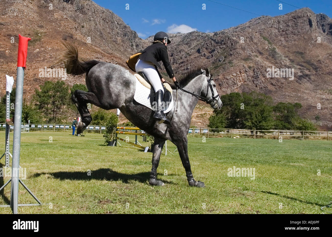 Gray warmblood horse landing after a jump during the 2006 Western Cape
