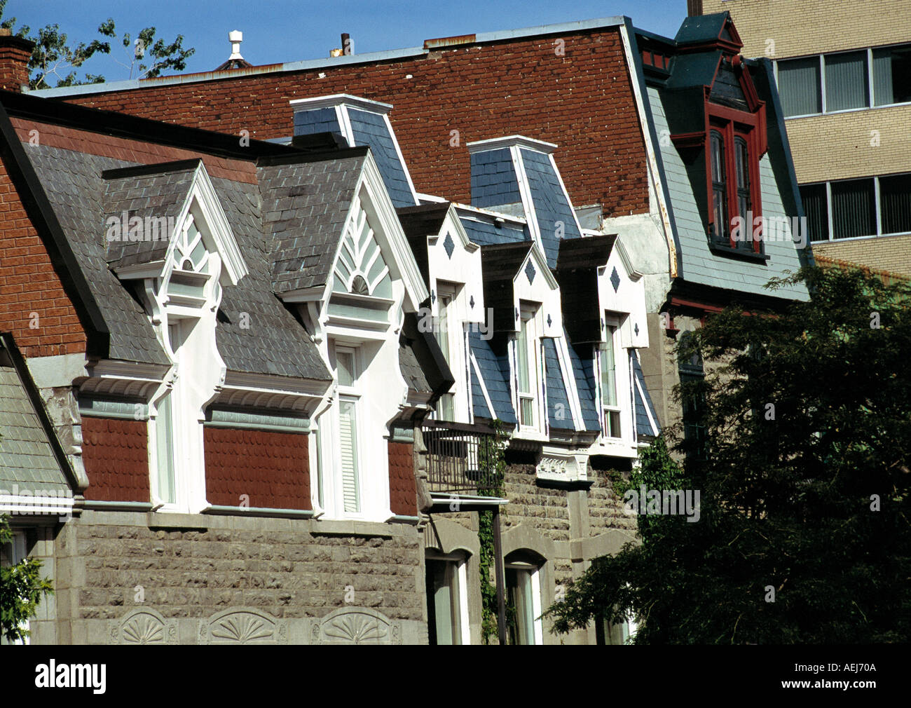 Saint Hubert street Plateau area Montreal Quebec Stock Photo Alamy