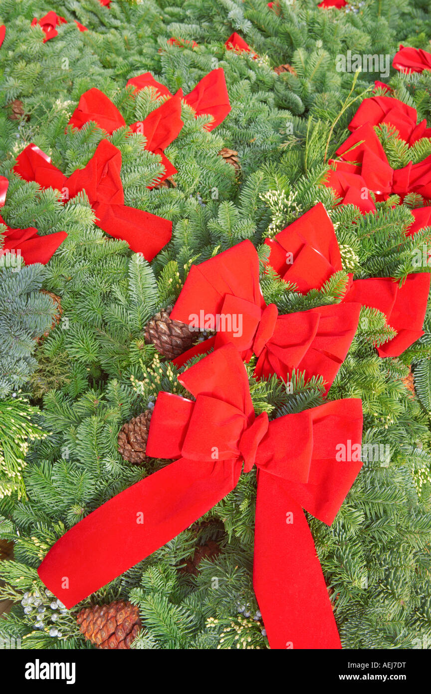 Christmas wreaths with red bows Al s Garden Nursery Tualtin Oregon Stock Photo