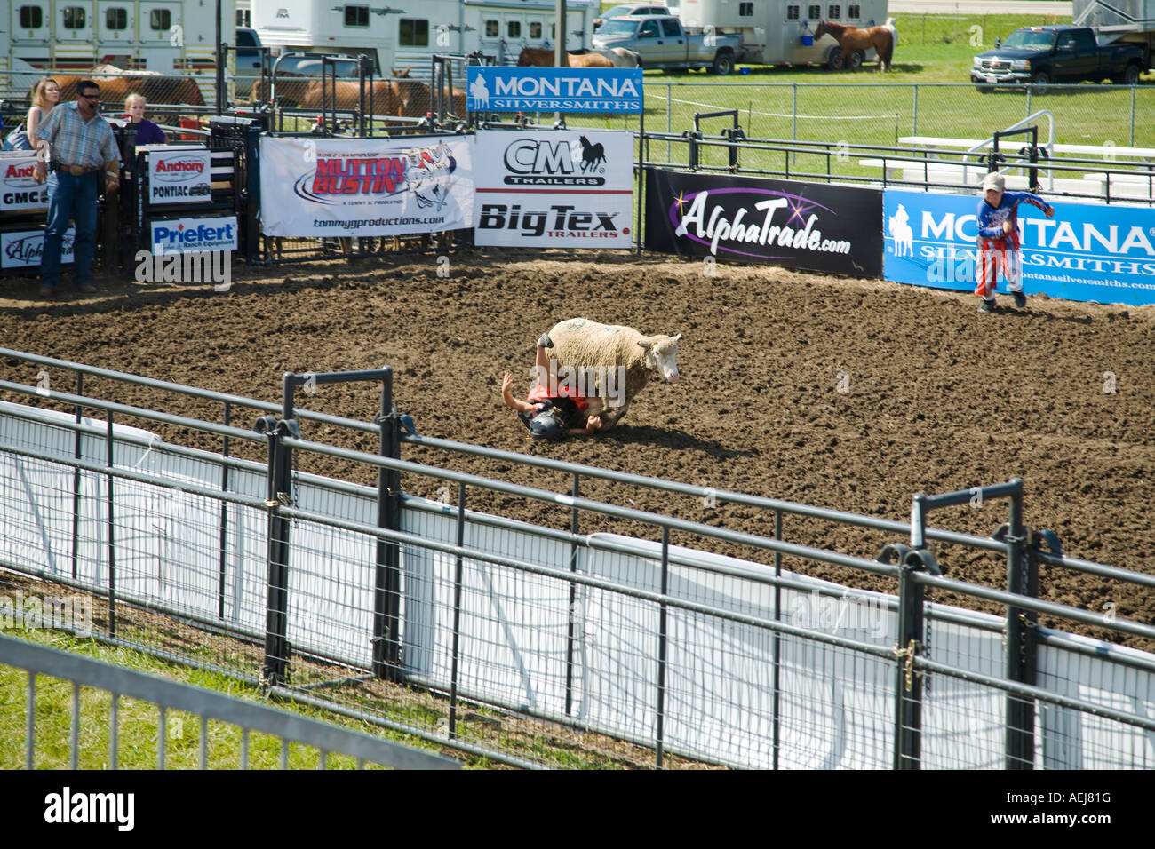 ILLINOIS Grayslake Young child try to ride sheep in arena slip off to side mutton busting Lake County Fair ewe Stock Photo