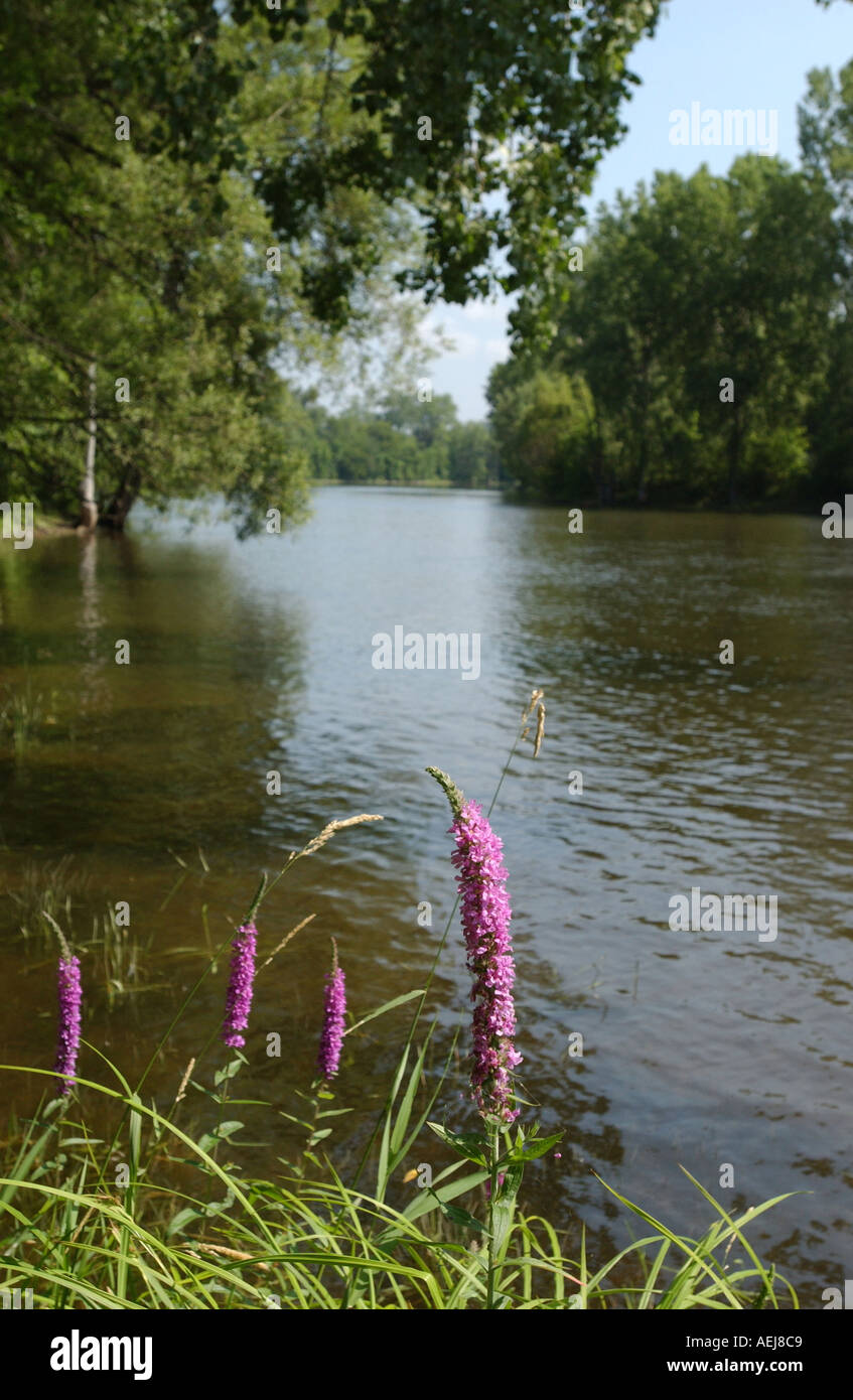 River DES PRAIRIES in Montreal Quebec Stock Photo