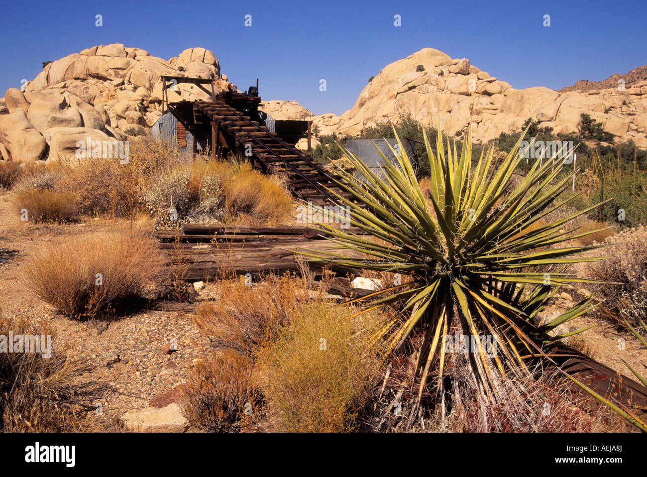 The abandonded Wall Street Mill at Joshua Tree National Park ...