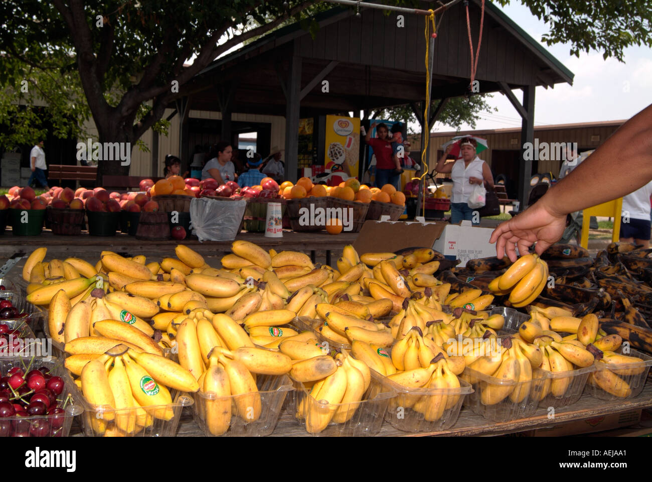 Display of bananas during a market Stock Photo Alamy