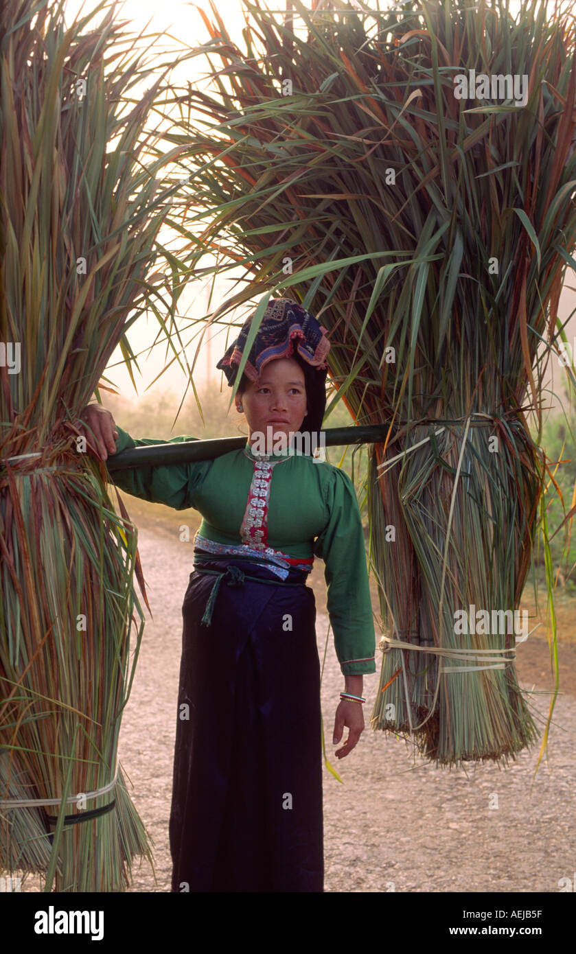 Ethnic tribes of north vietnam hi-res stock photography and images - Alamy