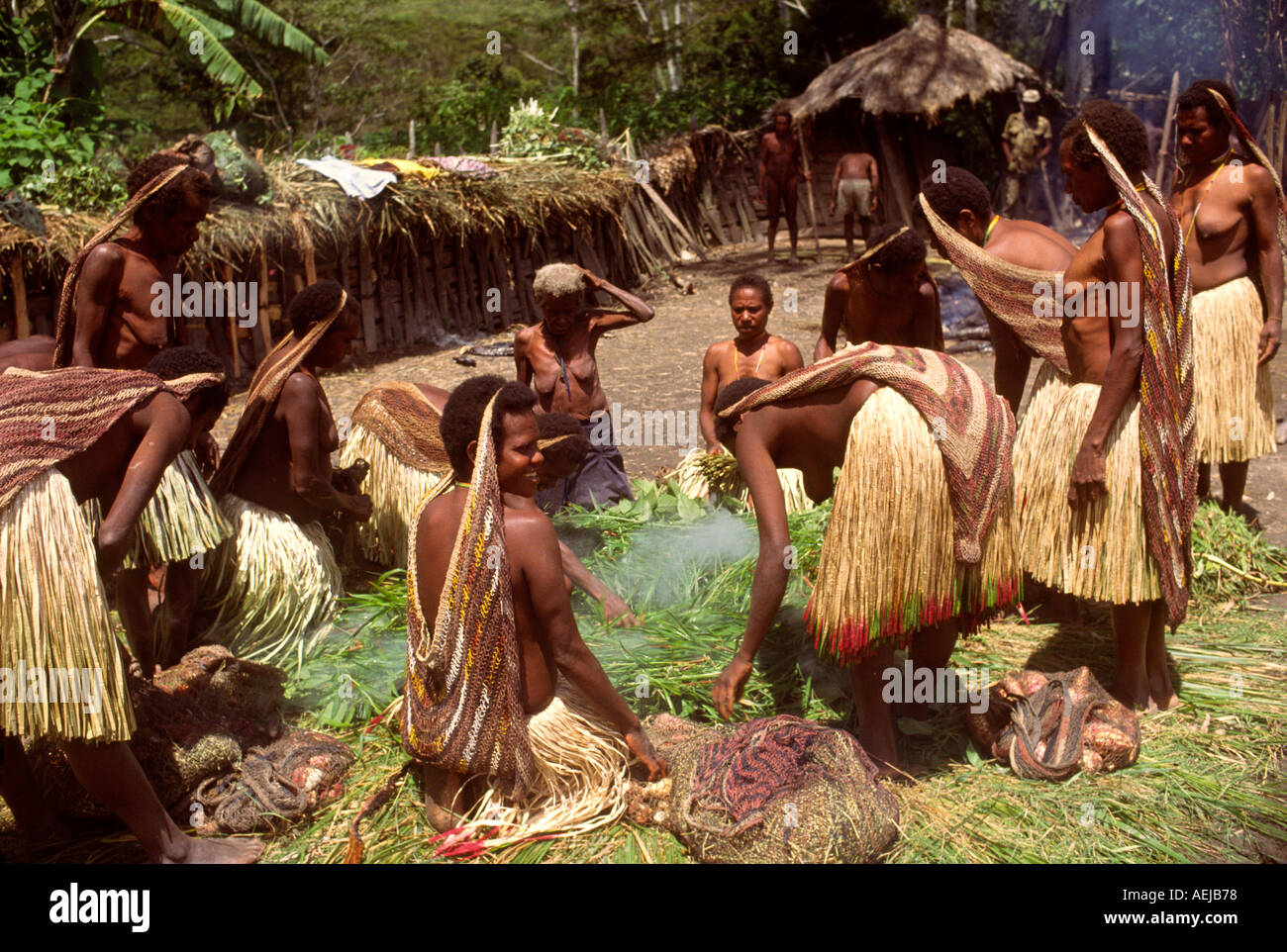 Dani women cooking sweet potatoes for pig feast traditional ethnic ...