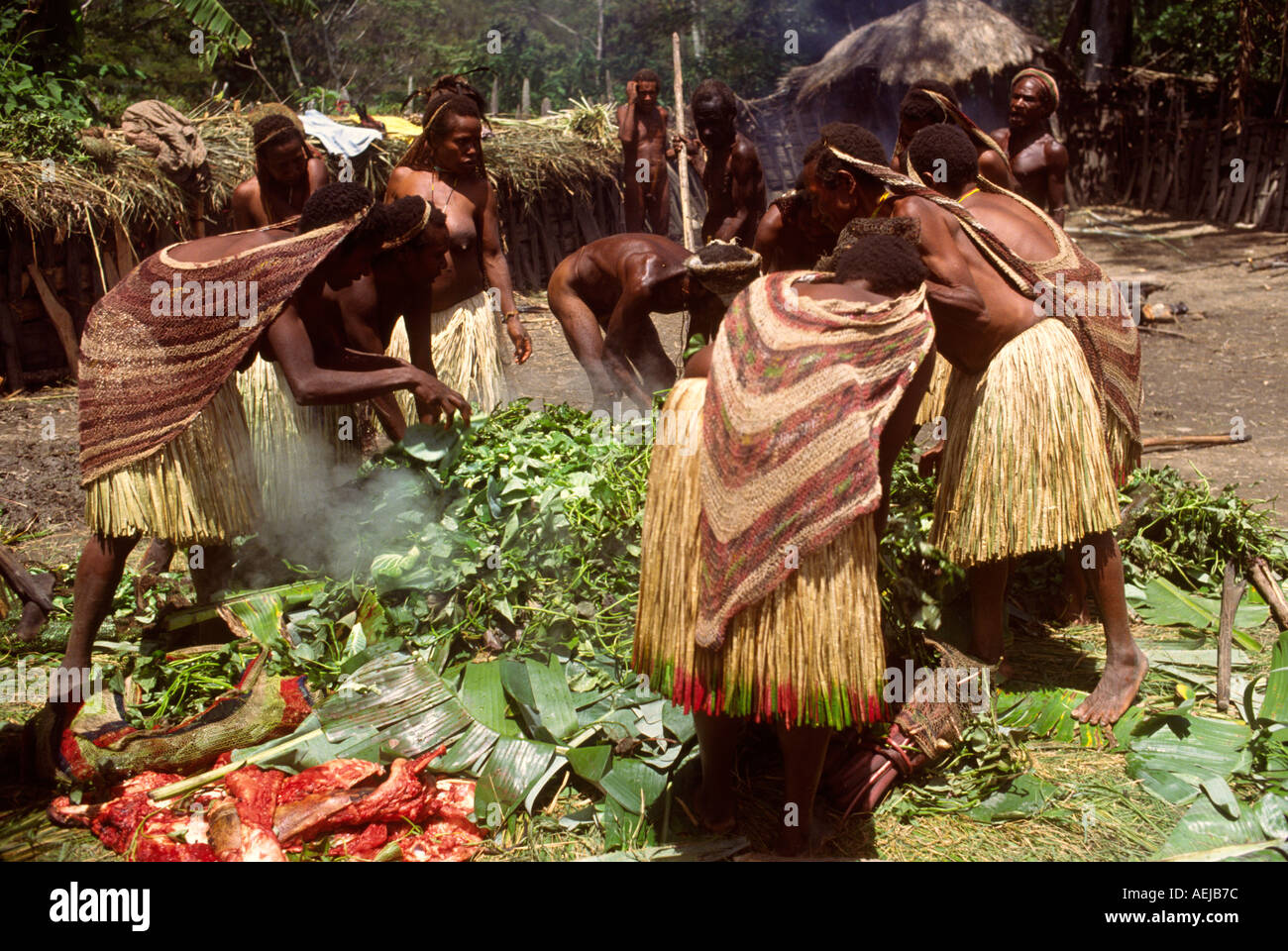 Dani women cooking sweet potatoes for pig feast Bolokme Baliem Valley Irian Jaya Indonesia Stock Photo