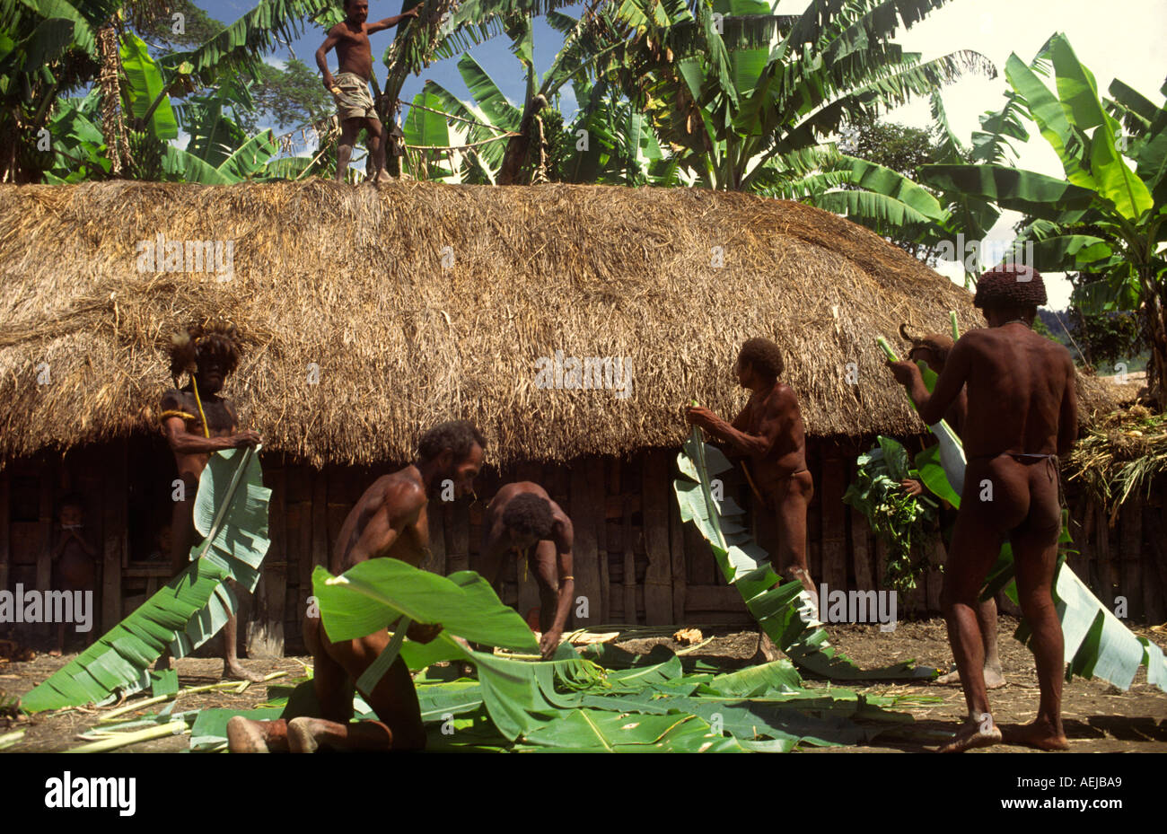 banana leaves for guinea pigs