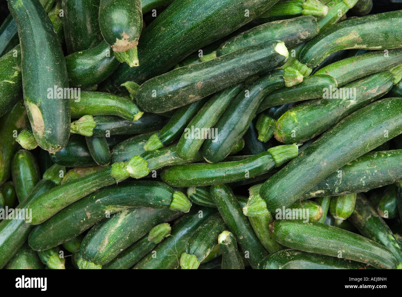 Courgettes vegetables zucchini, baby marrows organically grown freshly ...