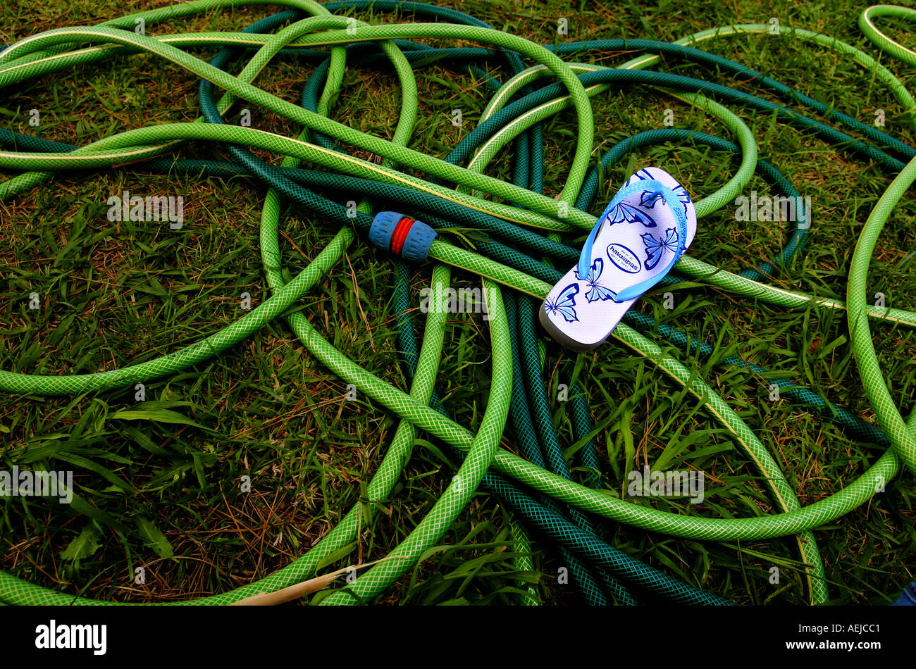green hose with blue slippers in the grass Stock Photo