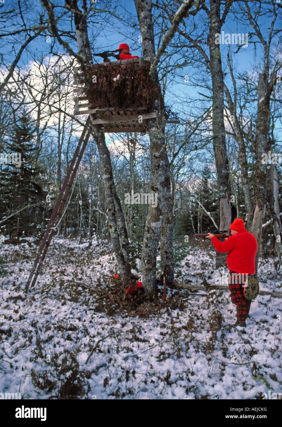Deer hunt tree stand hires stock photography and images Alamy