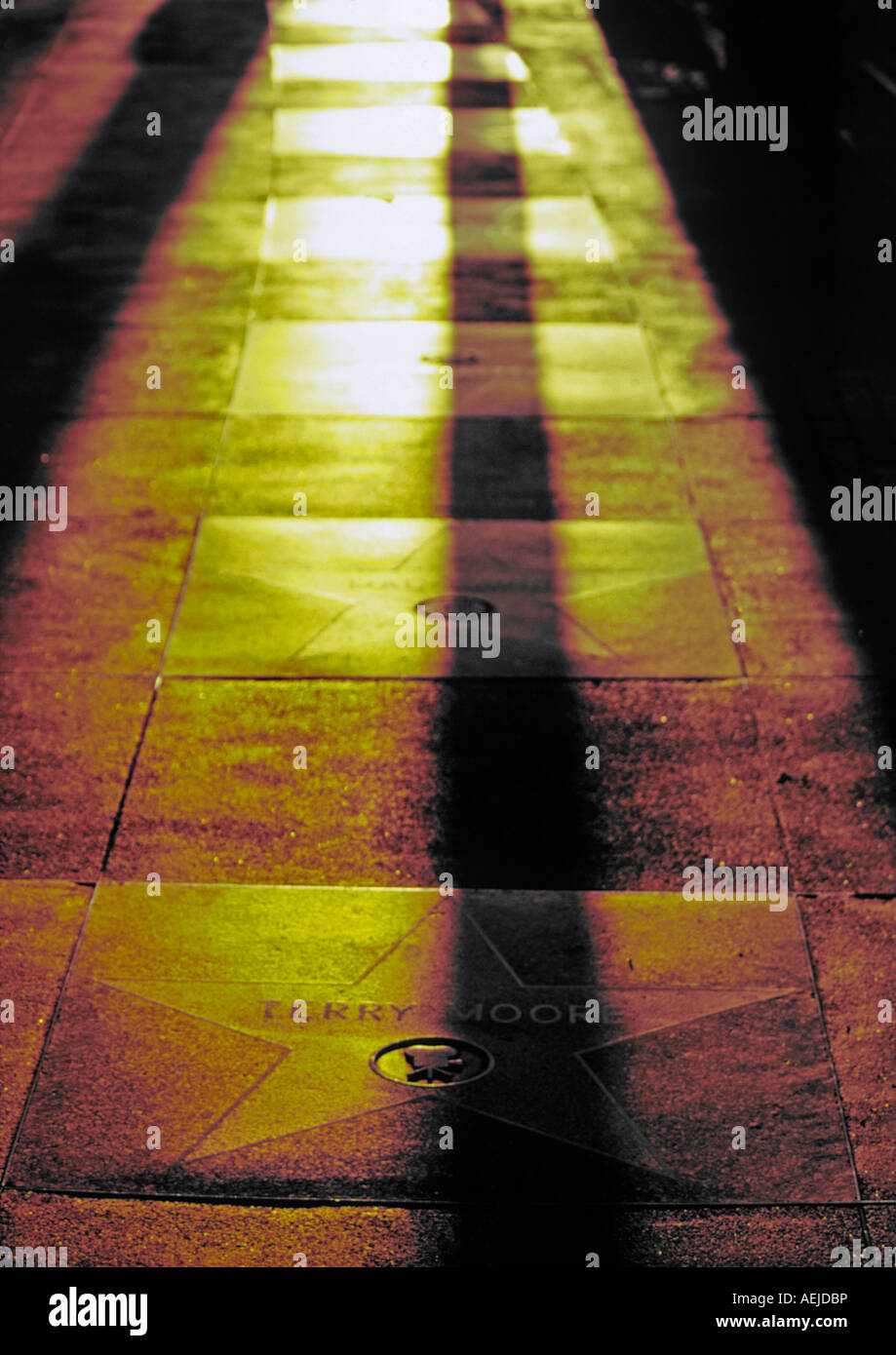 hollywood walk of fame hollywood california usa Stock Photo Alamy
