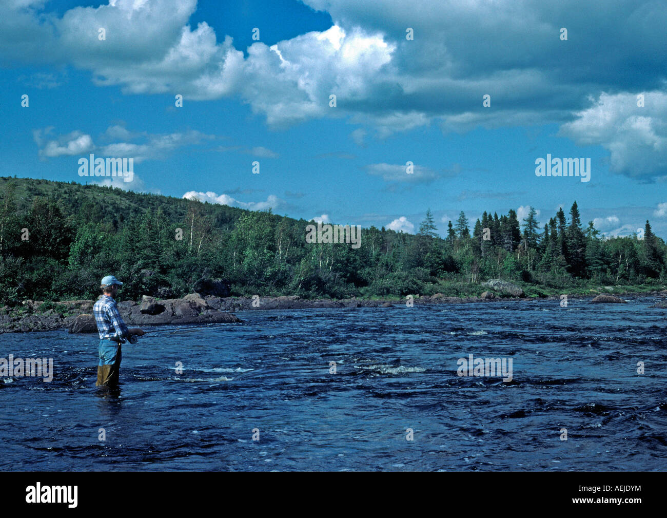 salmon fishing newfoundland canada Stock Photo Alamy