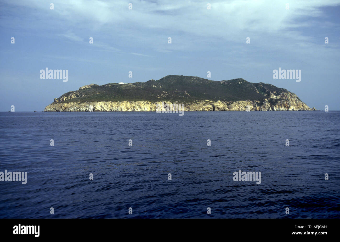 Mediterranean island Zannone, Pontinian islands, Campania, Italy Stock Photo