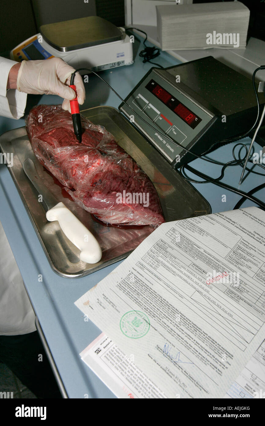 Examination of imported meat for germs Stock Photo