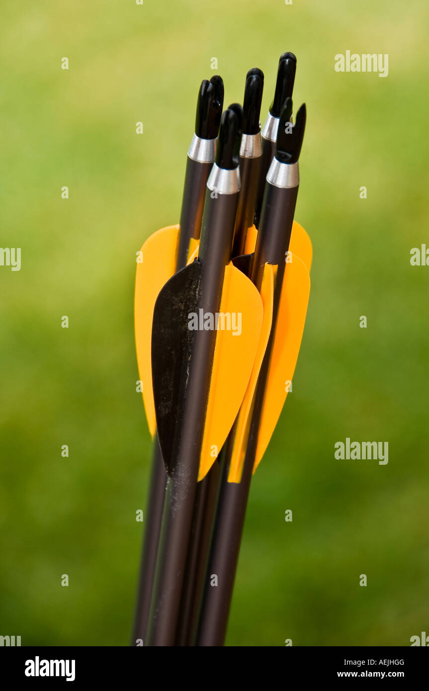 Arrows Stock Photo
