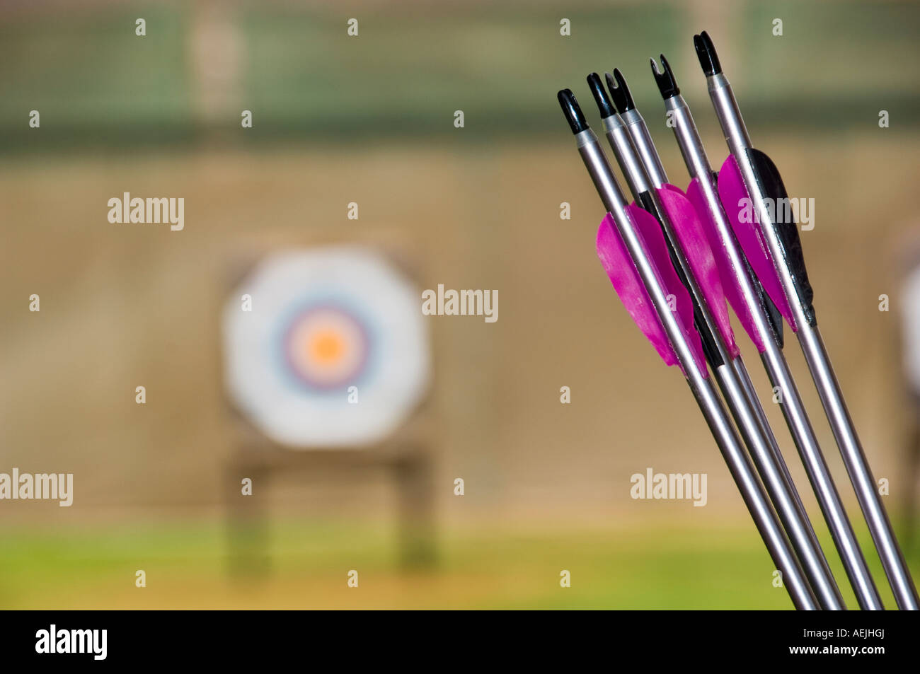 Arrows, outdoor target archery competition Stock Photo