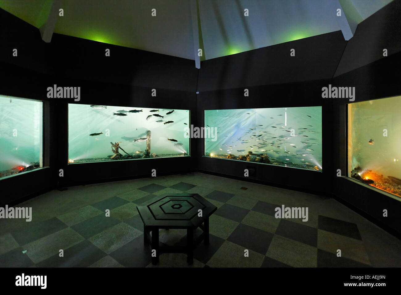 Aquarium, Bad Wiessee, Upper Bavaria Germany Stock Photo Alamy