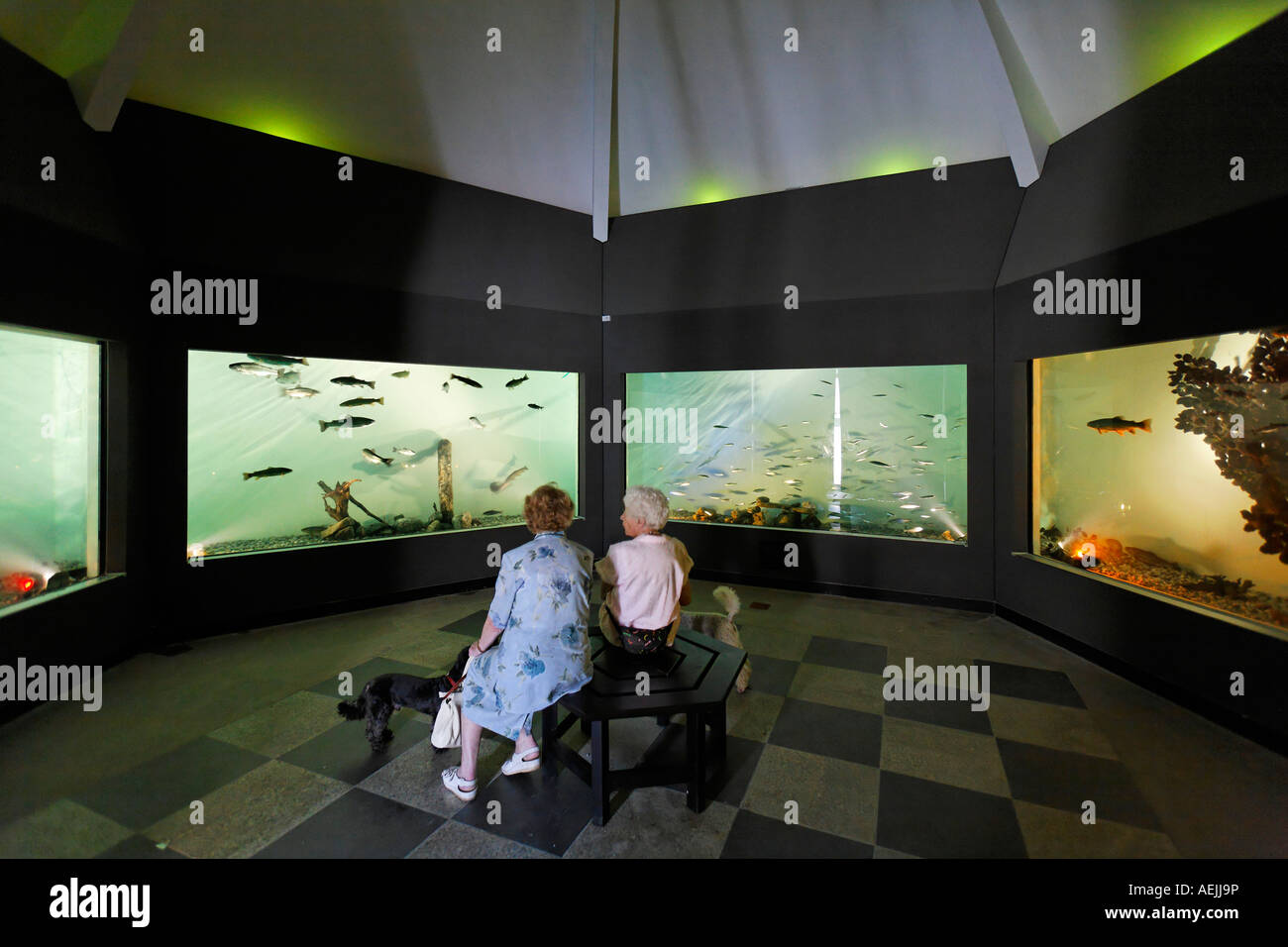 Aquarium, Bad Wiessee, Upper Bavaria Germany Stock Photo Alamy