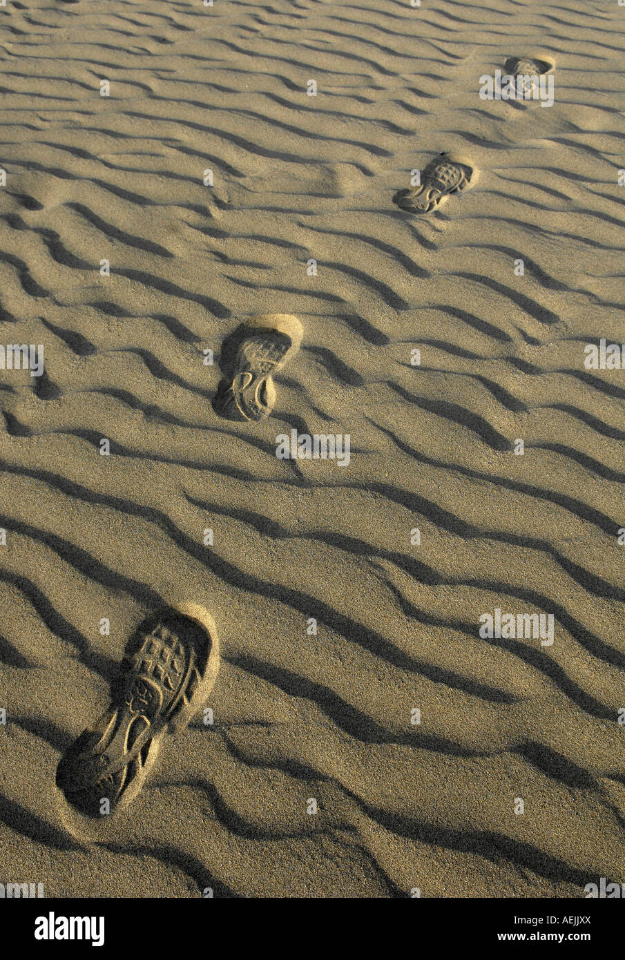 Fussspuren Im Sand High Resolution Stock Photography and Images - Alamy
