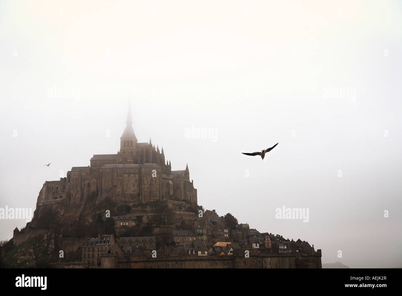 Birds Flying Over Island Mont Saint Michel, UNESCO World Heritage Site