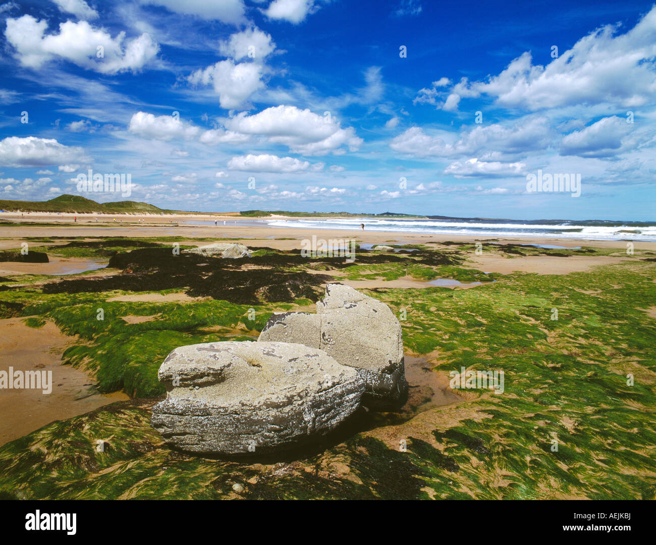 Embleton Bay, Embleton, Northumberland Stock Photo Alamy