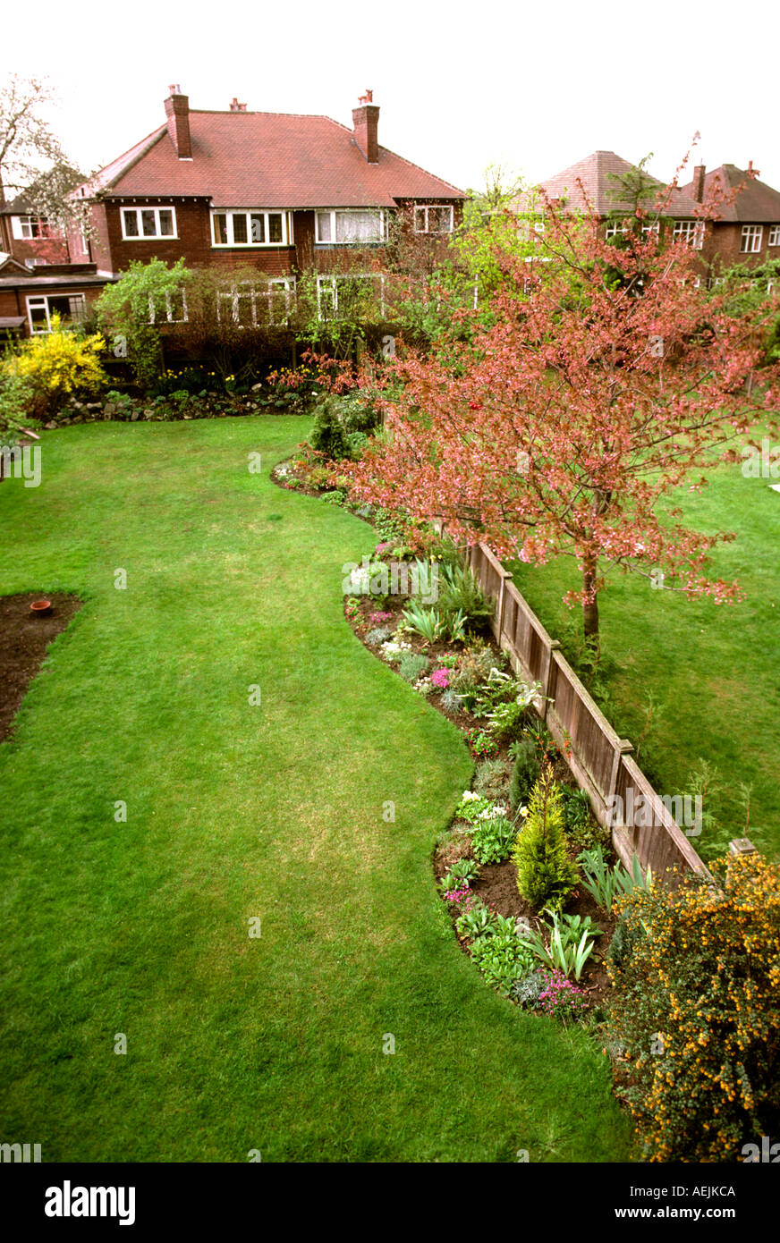 Gardening Looking down on basic unimproved suburban back garden Stock Photo