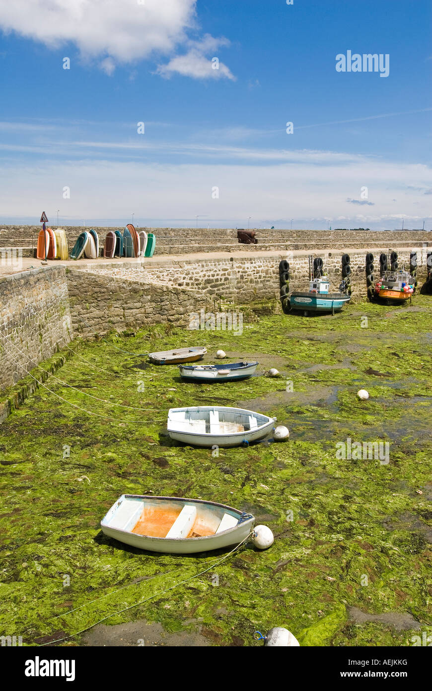 Boats in the port of Roscoff at low tide, Brittany, France Stock Photo