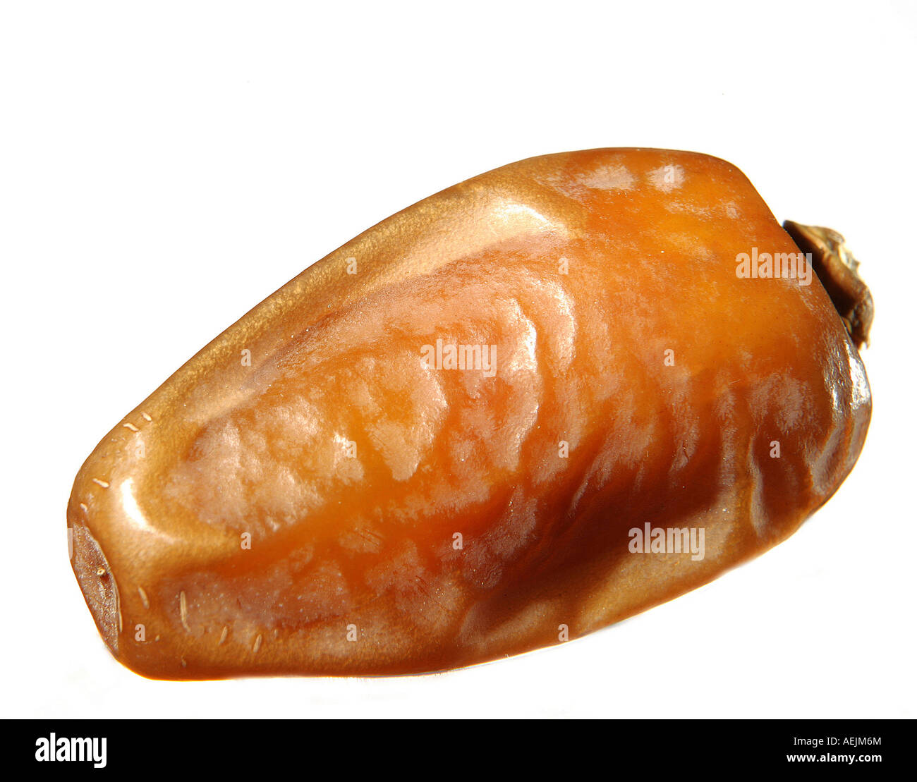 Date palm fruits Cut Out Stock Images & Pictures - Alamy
