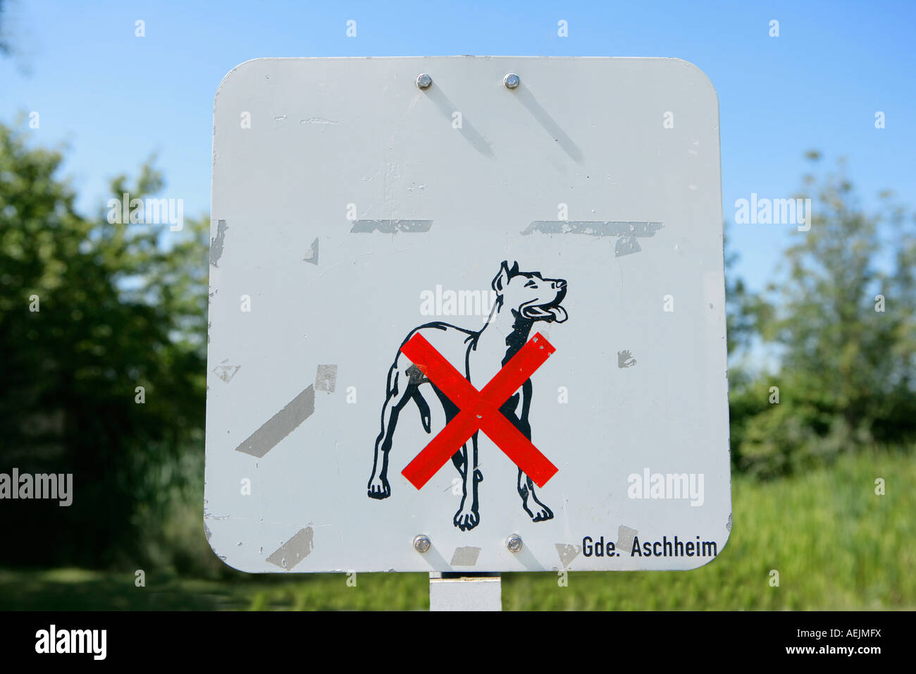 Indication sign 'dogs forbidden' Stock Photo