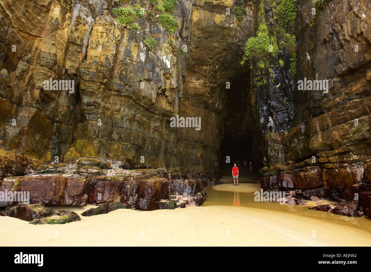 Cathedral Cave Catlins Coast South Island New Zealand Stock Photo