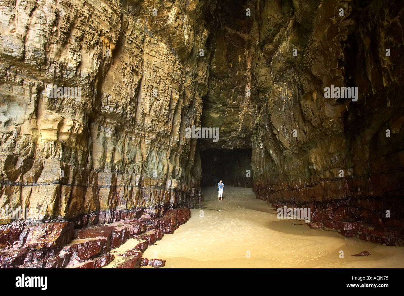 Cathedral Cave Catlins Coast South Island New Zealand Stock Photo