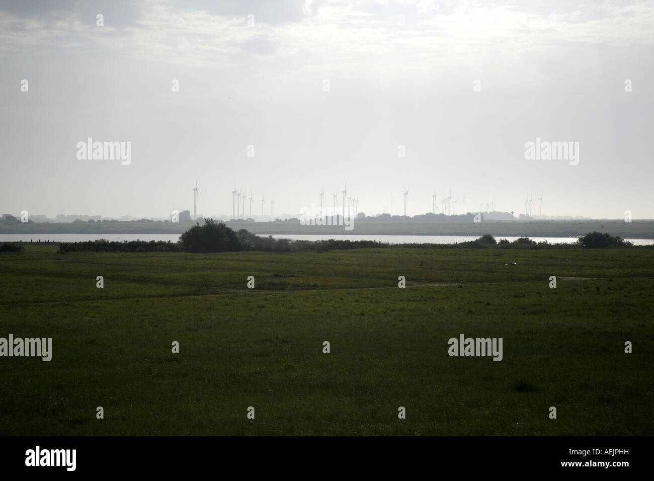 Wind park near Emden, East Frisia, Lower Saxony, Germany Stock Photo