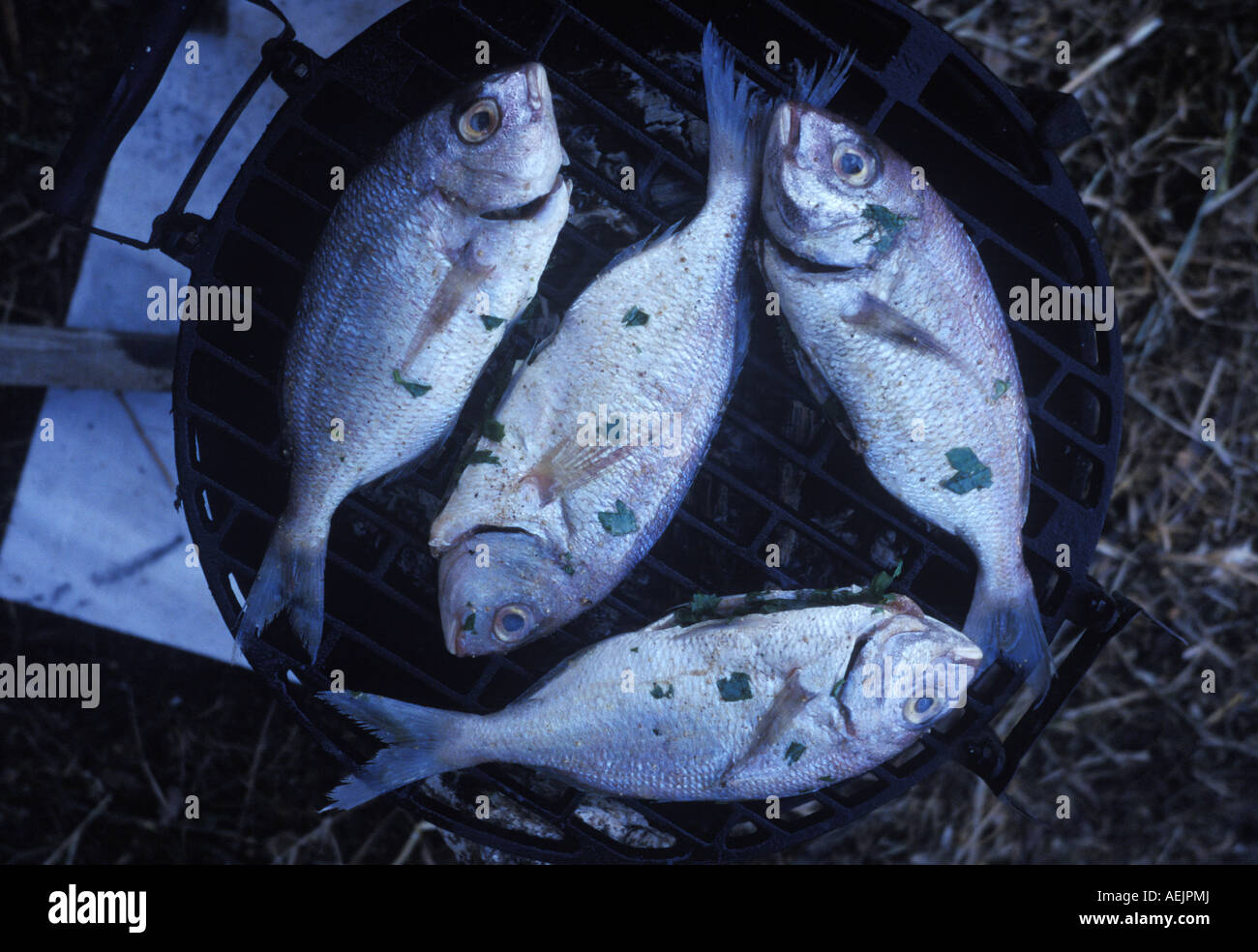 Three barbs on a barbecue Stock Photo