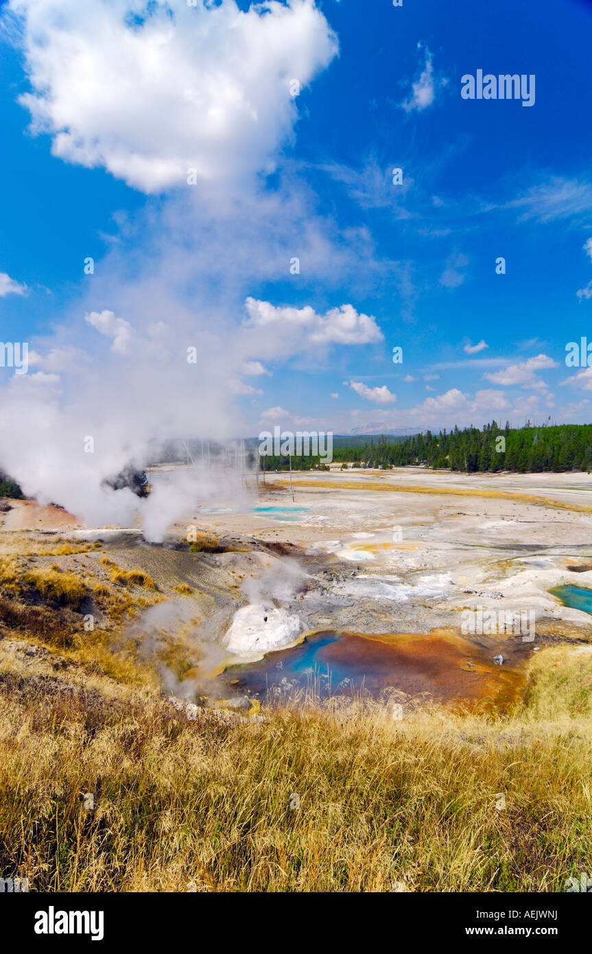 Steaming geysers, Norris Geyser Basin, Yellowstone National Park, Wyoming, USA, United States of America Stock Photo
