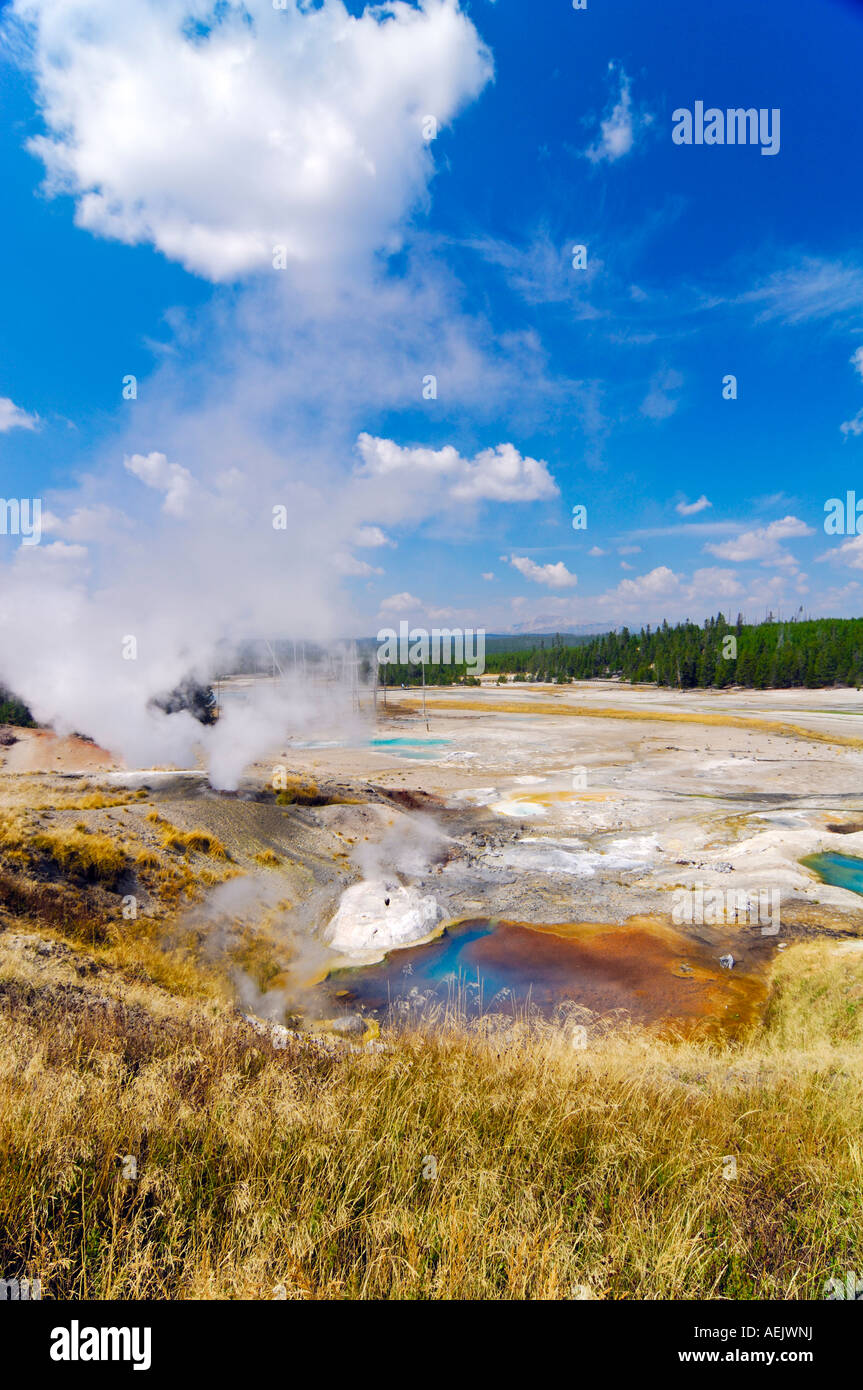 Steaming geysers, Norris Geyser Basin, Yellowstone National Park ...