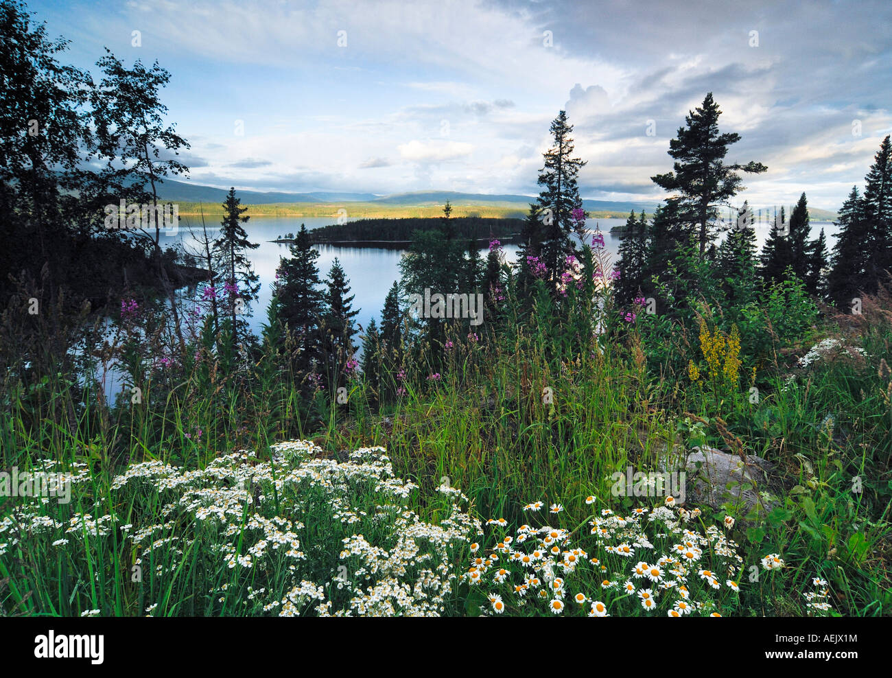 Landscape, Norway, Scandinavia Stock Photo