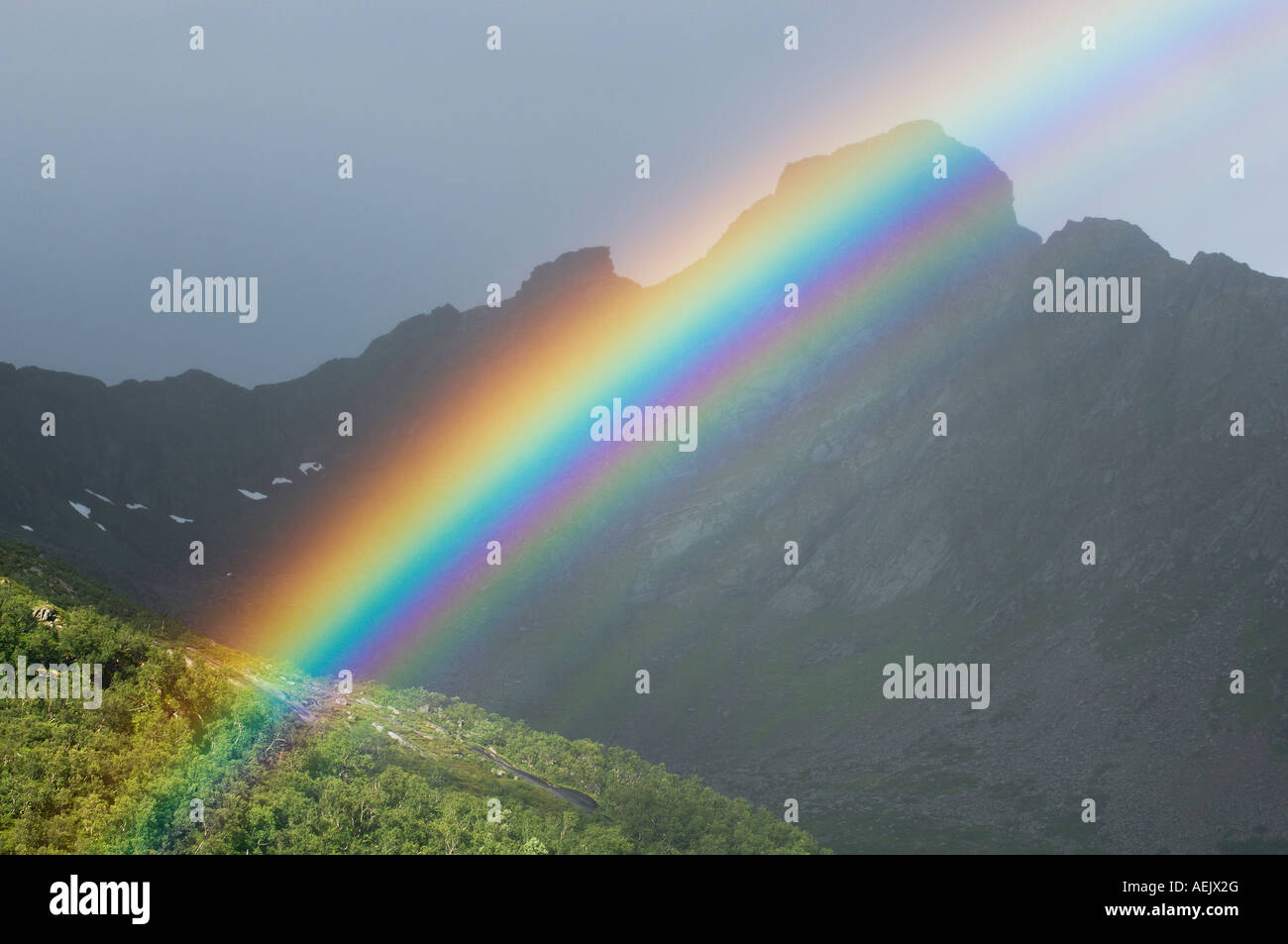 Rainbow, Vestvagoy, Lofoten, Norway, Scandinavia, Europe Stock Photo