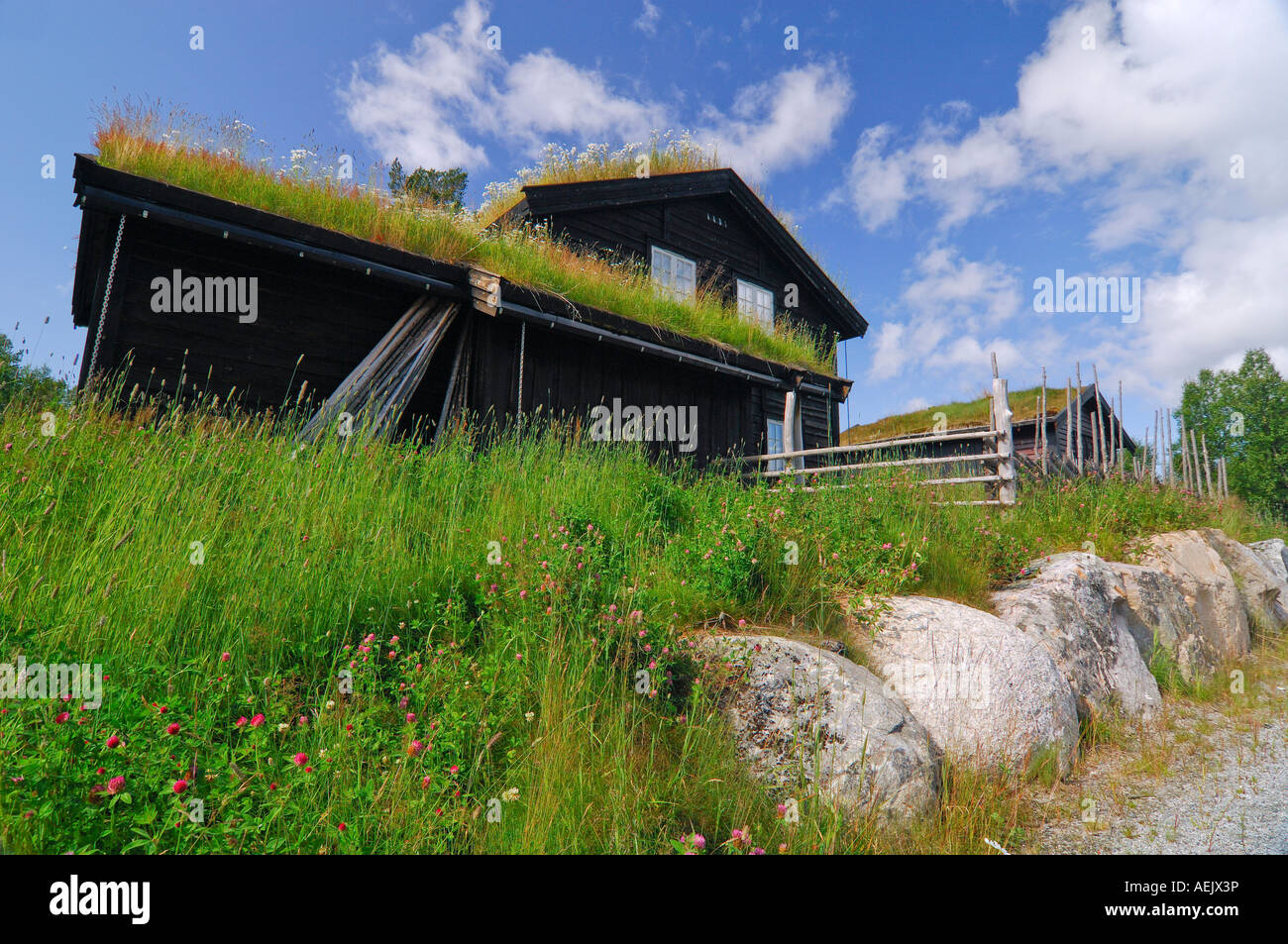 Holiday home with grass on the roof, Gausdal, Oppland, Norway, Scandinavia, Europe Stock Photo