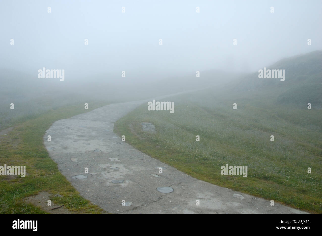 Path, foggy weather Stock Photo